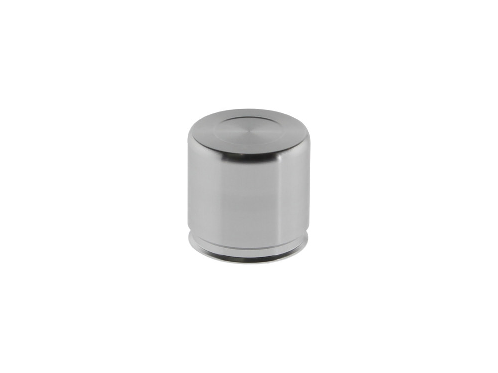 Caliper Piston; FR FX,XL%2777-83