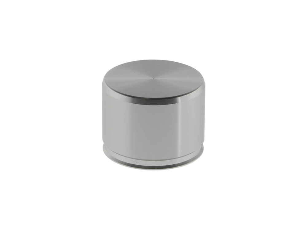 Caliper Piston; RR XL%2779-81