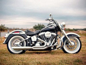 D&D EXHAUST Fat Cat 2-into-1 Exhaust with Straight Muffler – Chrome. Fits Softail 1986-2017. D&D EXHAUST Fat Cat 2-into-1 Exhaust with Straight Muffler – Chrome. Fits Softail 1986-2017.