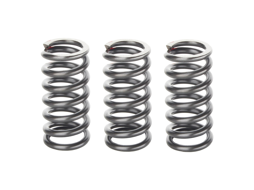 Clutch Springs; CVO BT%2713up, %27S%27