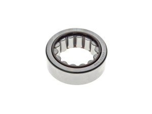 Eastern Motorcycle Parts Right Crank Case Main Bearing. Fits Dyna 1999-2002 & Touring 2000-2002 Eastern Motorcycle Parts Right Crank Case Main Bearing. Fits Dyna 1999-2002 & Touring 2000-2002