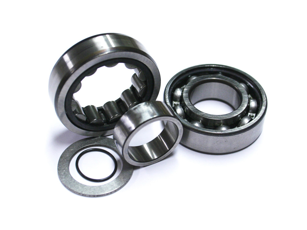 Brg; Outer Cam, BT%2799-06 (Pair)
