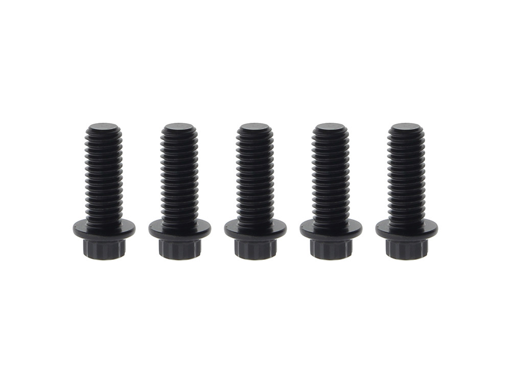 Bolt Kit; RR Disc BT%2797up, XL%2797-21