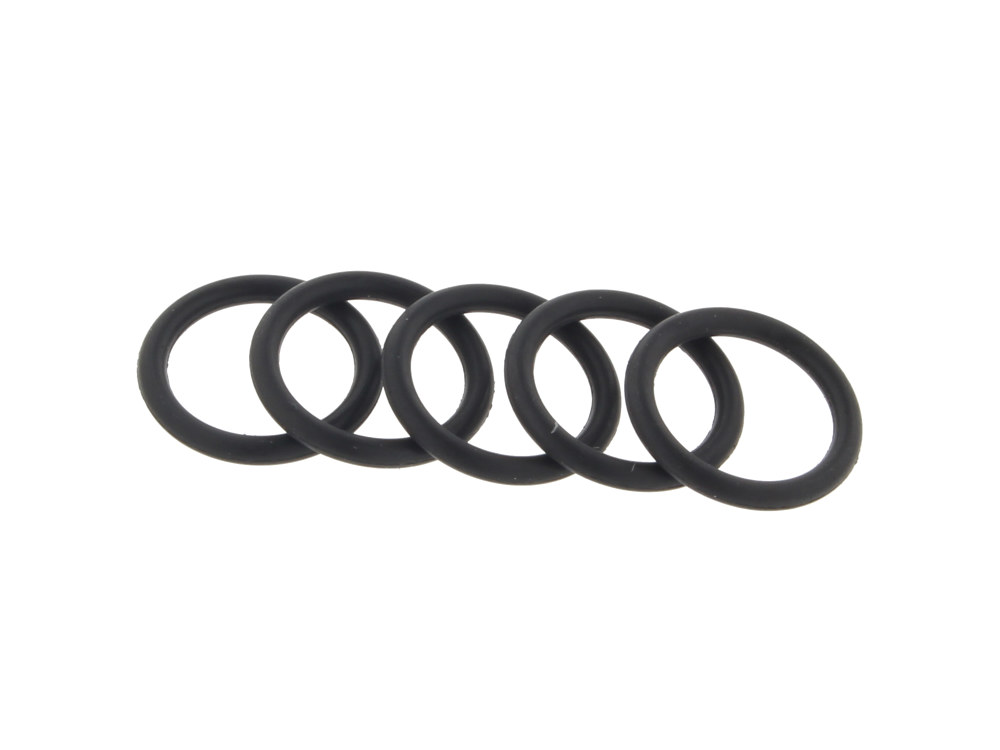 EFI Check Valve O-Ring; Lower (Pk5)