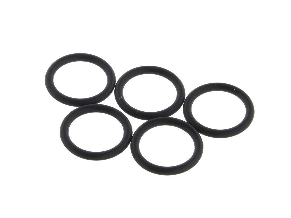 EFI Check Valve O-Ring; Lower (Pk5)