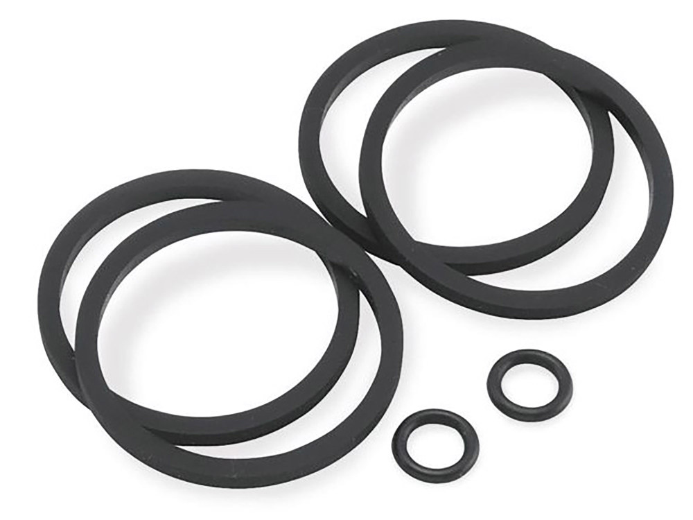 Caliper Rebuild Kit; 4pist 100