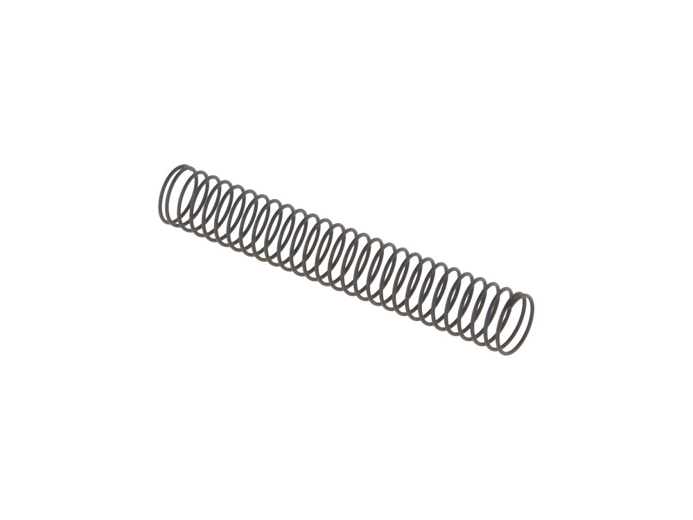 Spring; O/Pump Check Valve BT%2781-99