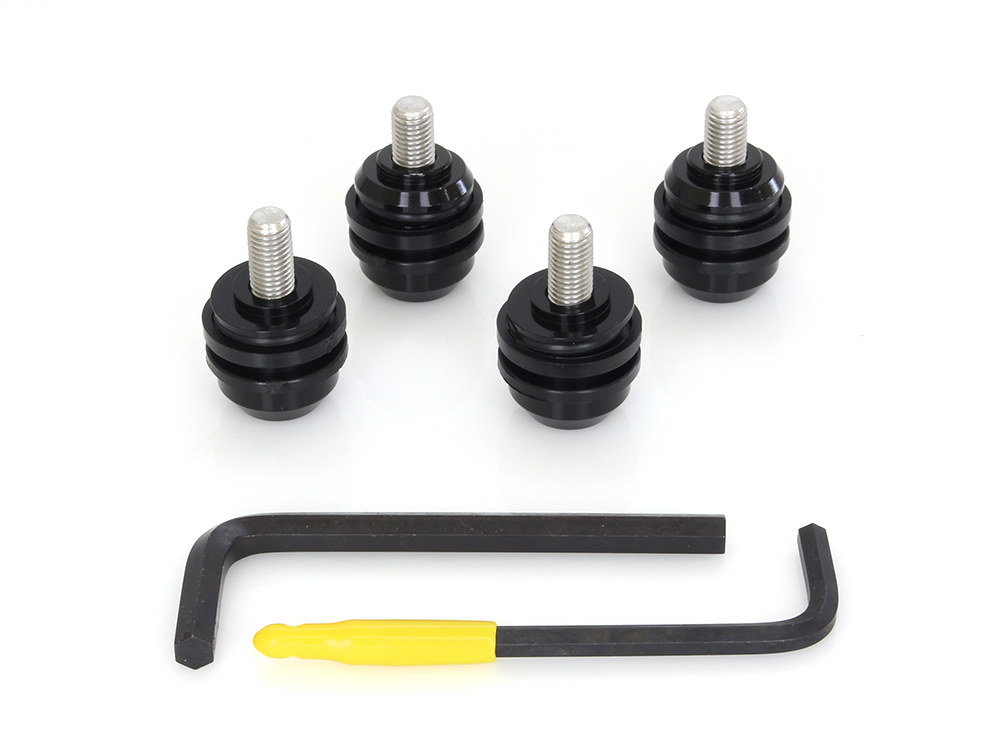 RW Windshield Mnt Kit; FLST%2786-17