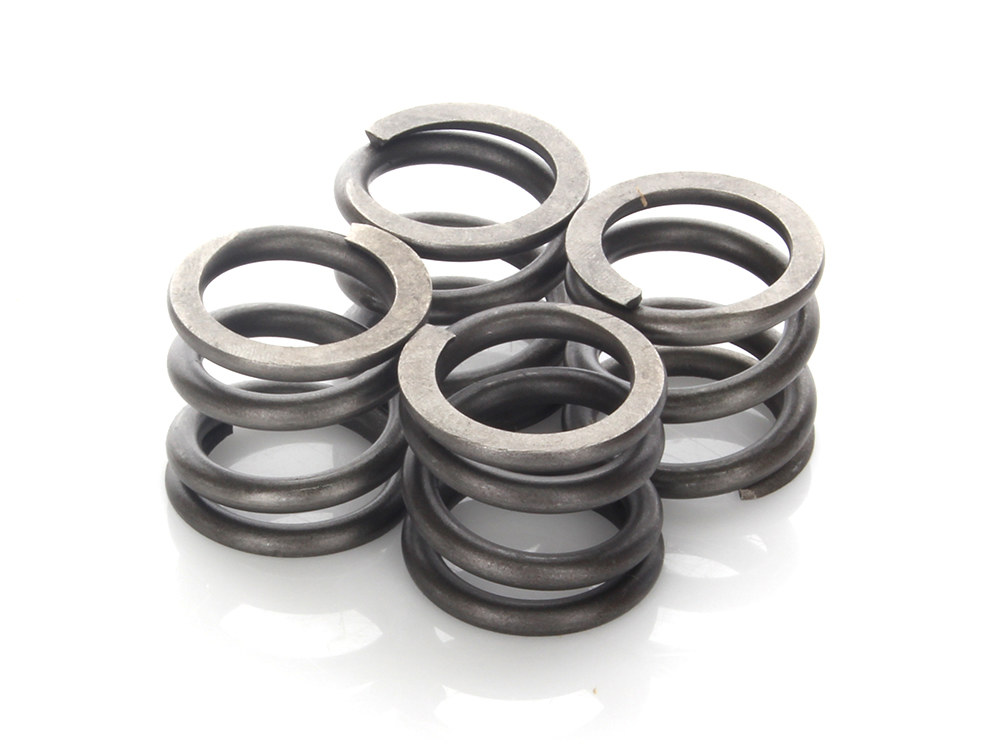 Fork Springs; Lowered XG500%2715-20