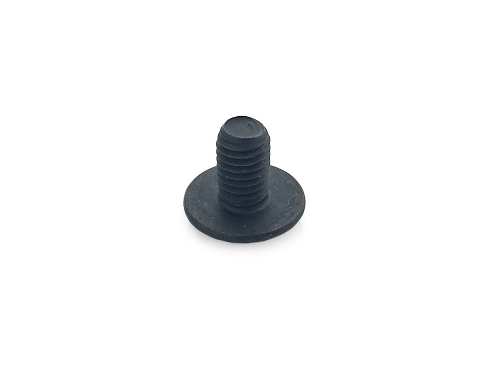 Repl. Knob Screw; All 422 RAP