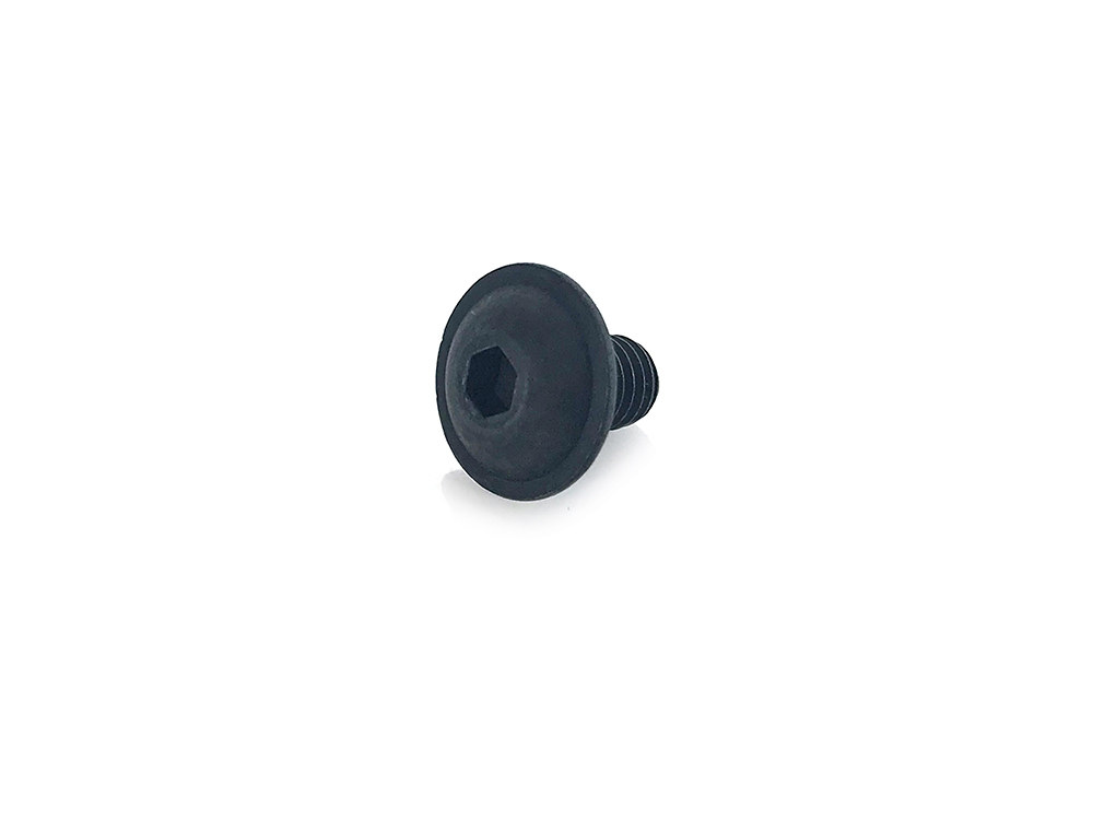 Repl. Knob Screw; All 422 RAP
