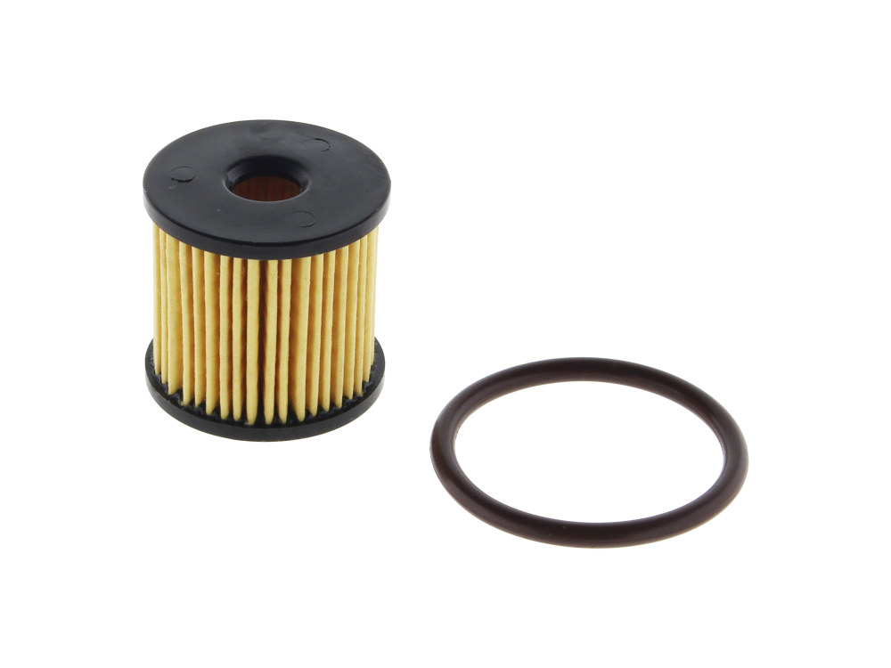 Quantum Fuel Systems EFI Fuel Filter Kit. Fits Dyna 2004-2017, Softail 2008-17 & Touring 2008up.