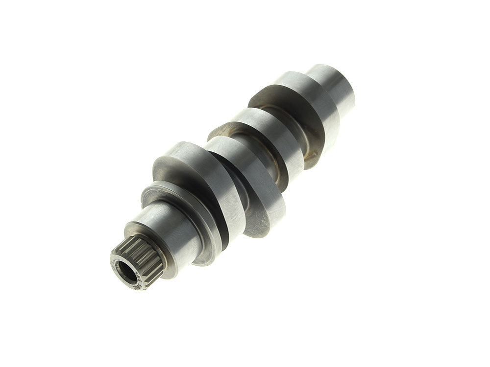 Cam Kit; M8%2717up, 590 Chain Drive