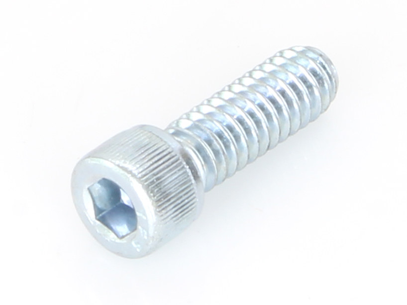 End Cap Bolt; 4x25 Socket Head Cap