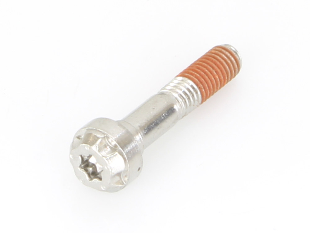 End Cap Bolt; 5x25 Torx Head