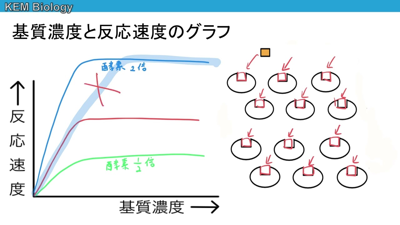 Lowi はファイバー速度を 2 倍にし、ギガバイト数を増やすことで速度を向上させます Lowi はファイバー速度を 2 倍にし、ギガバイト数を増やすことで速度を向上させます