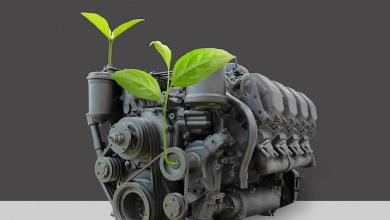 ‘We can solve two problems at the same time’ ‘We can solve two problems at the same time’