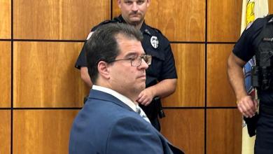 Another North Jersey tree-cutting case ends in big fine but restoration work remains Another North Jersey tree-cutting case ends in big fine but restoration work remains