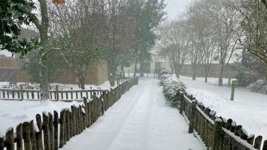‘The city is losing water rapidly’ message to Gulf Breeze residents says ‘The city is losing water rapidly’ message to Gulf Breeze residents says