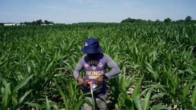 Scientists shielding farming from climate change need more public funding. But they’re getting less Scientists shielding farming from climate change need more public funding. But they’re getting less
