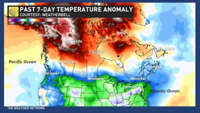 January’s jet stream drama leads to February pattern swap in Canada January’s jet stream drama leads to February pattern swap in Canada