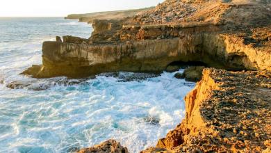 Fisherman warned of ‘big angry’ shark in water before surfer attacked Fisherman warned of ‘big angry’ shark in water before surfer attacked