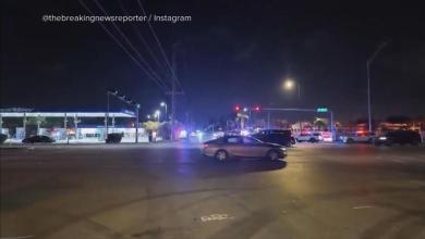 Police: Bus driver opens fire on passengers Police: Bus driver opens fire on passengers