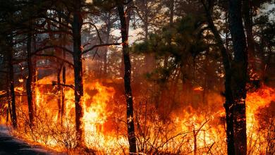 Wildfires prompt evacuation in the Carolinas as New Jersey crews battle their own blaze Wildfires prompt evacuation in the Carolinas as New Jersey crews battle their own blaze