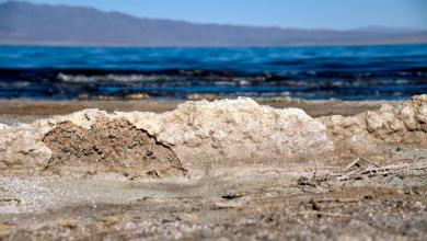 Scientists discover innovative method to extract critical material from salt water — and it could make electric cars more affordable Scientists discover innovative method to extract critical material from salt water — and it could make electric cars more affordable