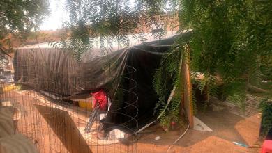 Authorities suspect gang members were involved in 7 killings at illegal marijuana farm Authorities suspect gang members were involved in 7 killings at illegal marijuana farm