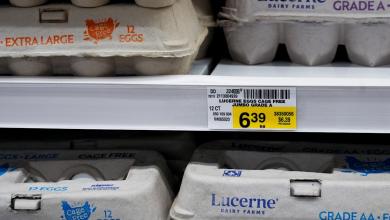 The heist of 100,000 eggs in Pennsylvania becomes a whodunit that police have yet to crack The heist of 100,000 eggs in Pennsylvania becomes a whodunit that police have yet to crack