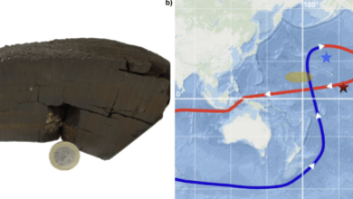Mysterious Radioactive Anomaly Discovered Deep Under The Pacific Ocean Mysterious Radioactive Anomaly Discovered Deep Under The Pacific Ocean