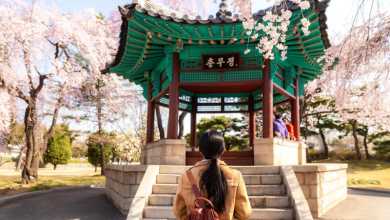 The 8 most powerful passports in the world The 8 most powerful passports in the world