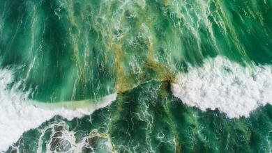 Earth’s Oceans Were Green a Billion Years Ago. They Could Soon Be Green Again. Earth’s Oceans Were Green a Billion Years Ago. They Could Soon Be Green Again.