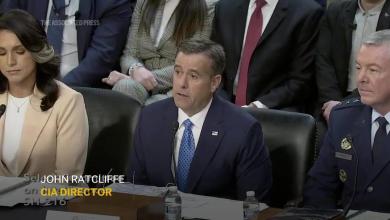 CIA Director insists war plan group chat contained no classified information CIA Director insists war plan group chat contained no classified information