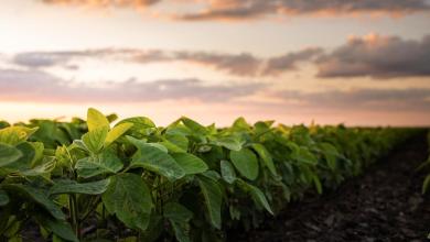 ‘Could help develop new strategies’ ‘Could help develop new strategies’