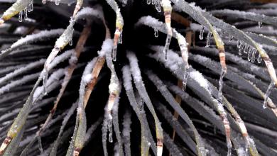 Day after opening warming shelter, Alexandria announces it will close on Saturday Day after opening warming shelter, Alexandria announces it will close on Saturday