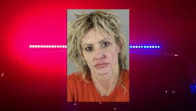 Brookfield woman accused of slashing tires, starting fire at hotel Brookfield woman accused of slashing tires, starting fire at hotel