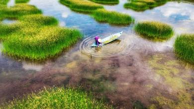 Officials celebrate after fishermen document incredibly rare sight in river: ‘New hope’ Officials celebrate after fishermen document incredibly rare sight in river: ‘New hope’