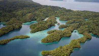 Scientists sound alarm after making disturbing discovery about Earth’s rainfall: ‘Urgent need’ Scientists sound alarm after making disturbing discovery about Earth’s rainfall: ‘Urgent need’