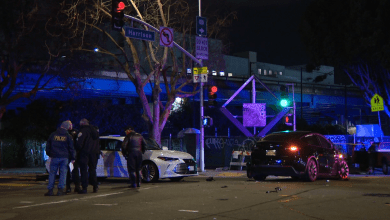 Tesla driver in deadly San Francisco 7-car crash released Tesla driver in deadly San Francisco 7-car crash released