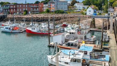 ‘One of the best sites in the country’ ‘One of the best sites in the country’