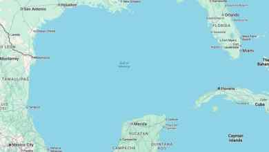 MoonPie Is Renaming The State Of Florida, And Their Suggestion Is Going Super Viral MoonPie Is Renaming The State Of Florida, And Their Suggestion Is Going Super Viral