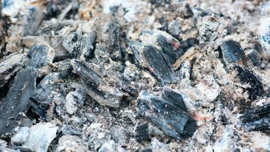 Scientists discover toxic substance has ‘remarkable potential’ to help solve global issue β here’s how Scientists discover toxic substance has ‘remarkable potential’ to help solve global issue β here’s how