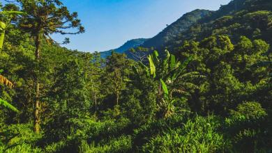 ‘This … reflects the importance of protected areas’ ‘This … reflects the importance of protected areas’