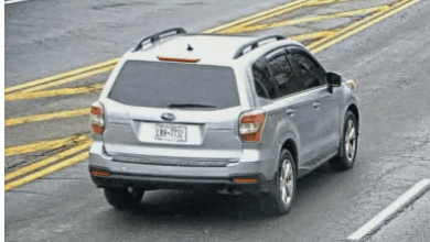 Oneida County Sheriffs searching for fugitive Oneida County Sheriffs searching for fugitive