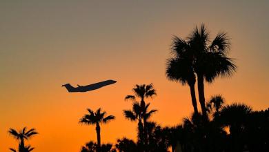 ‘This report presents further proof …’ ‘This report presents further proof …’