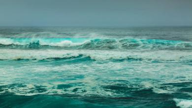 Scientists issue urgent warning about mysterious ‘cold blob’ in the ocean: ‘Most likely underestimated’ Scientists issue urgent warning about mysterious ‘cold blob’ in the ocean: ‘Most likely underestimated’