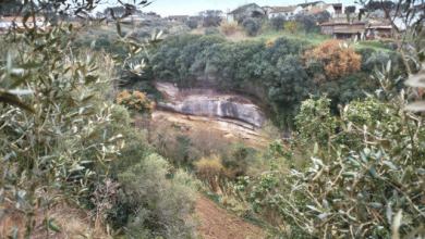 Mysterious Twist Revealed in Saga of Human-Neanderthal Hybrid Child Mysterious Twist Revealed in Saga of Human-Neanderthal Hybrid Child