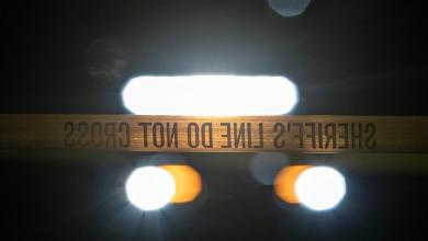 Colorado woman charged with criminal negligence after elderly mother killed by dogs Colorado woman charged with criminal negligence after elderly mother killed by dogs